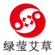 绿莹艾草真艾一生