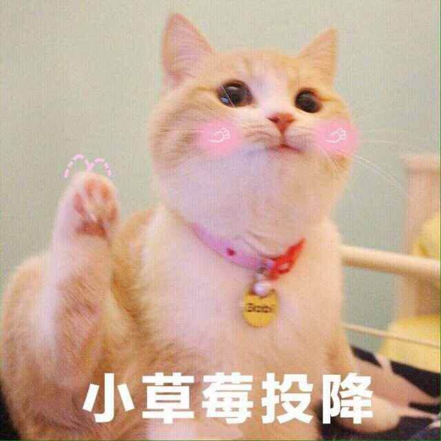 西西小姐姐的小店