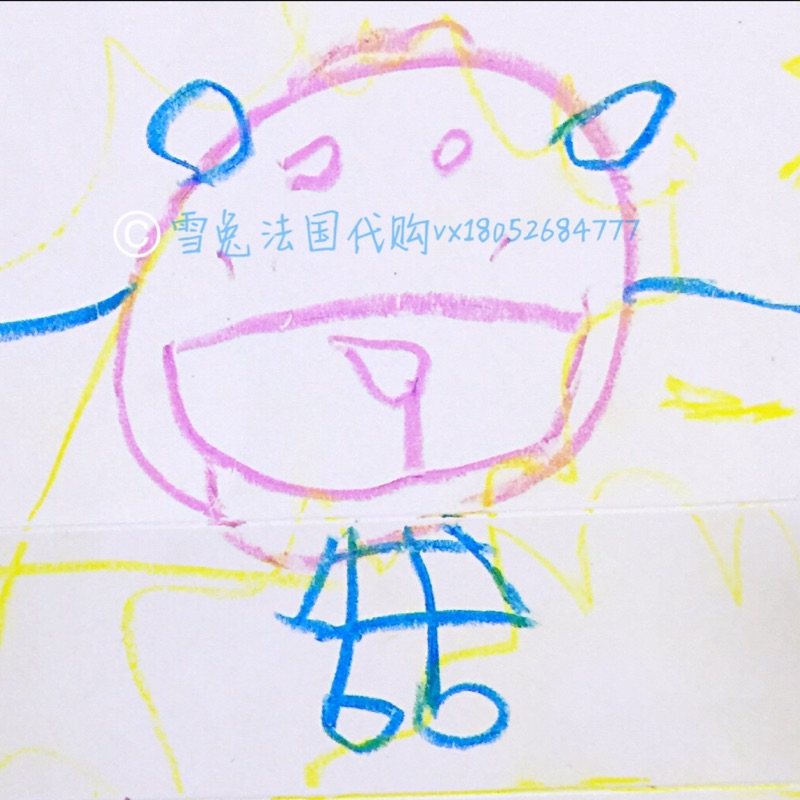 雪兔代购的LOGO