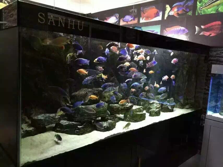 三湖鱼水族馆