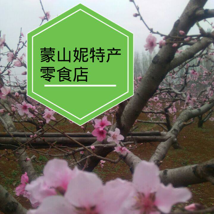 蒙山妮特产零食店
