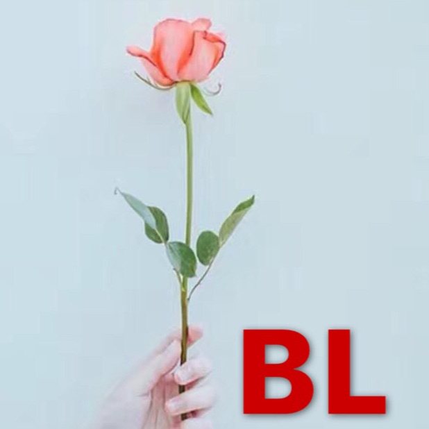 BL品质鞋馆