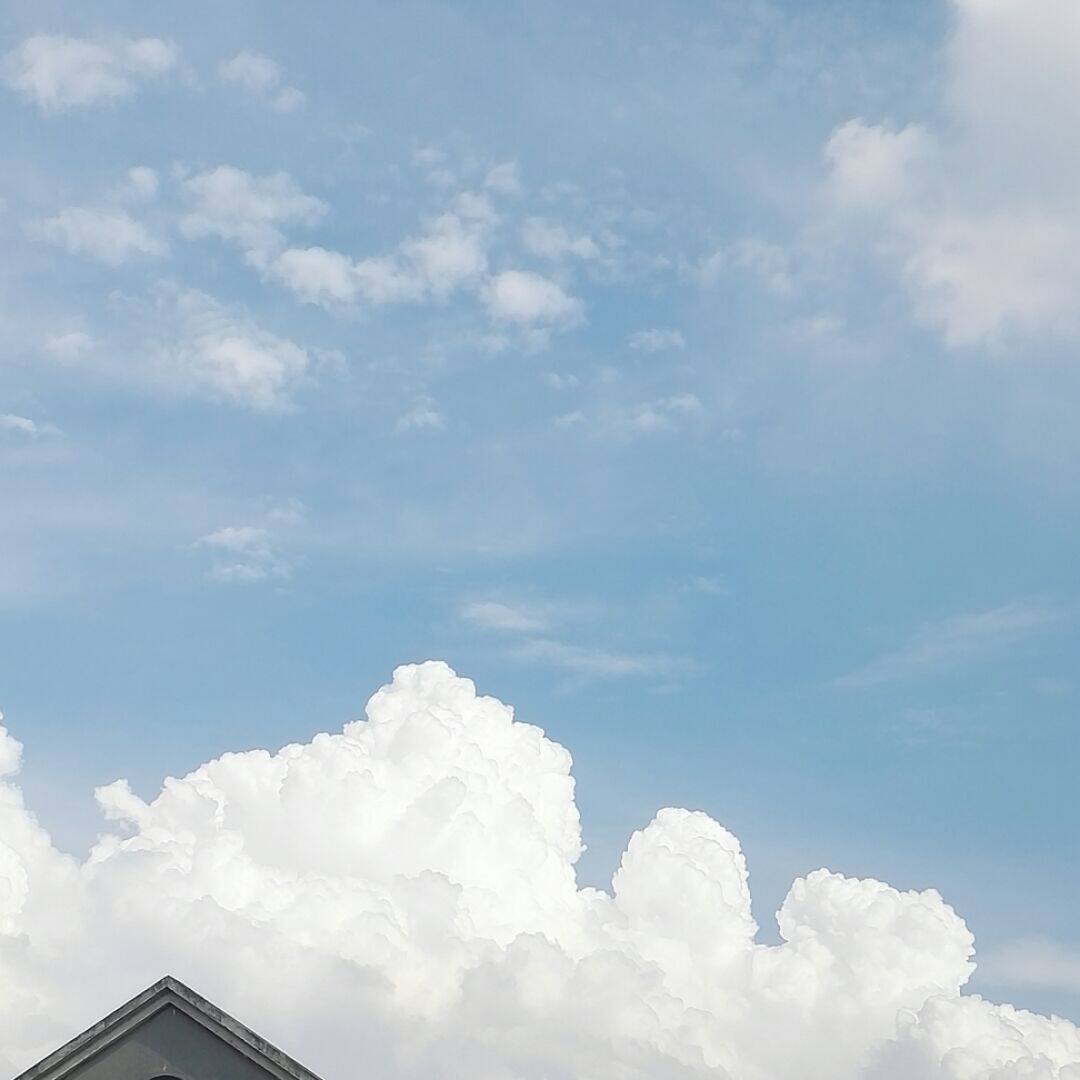 衣爱订制
