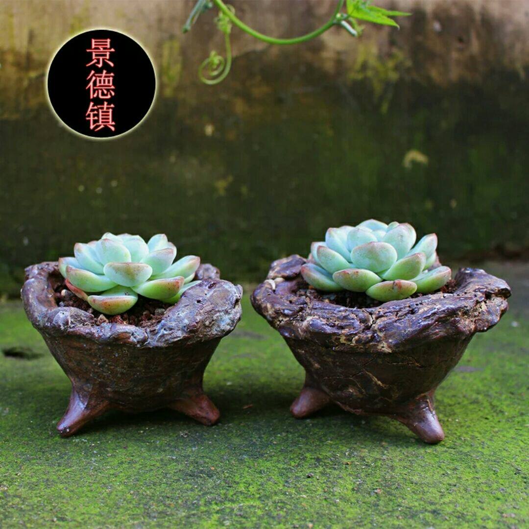 月儿的小花园的LOGO