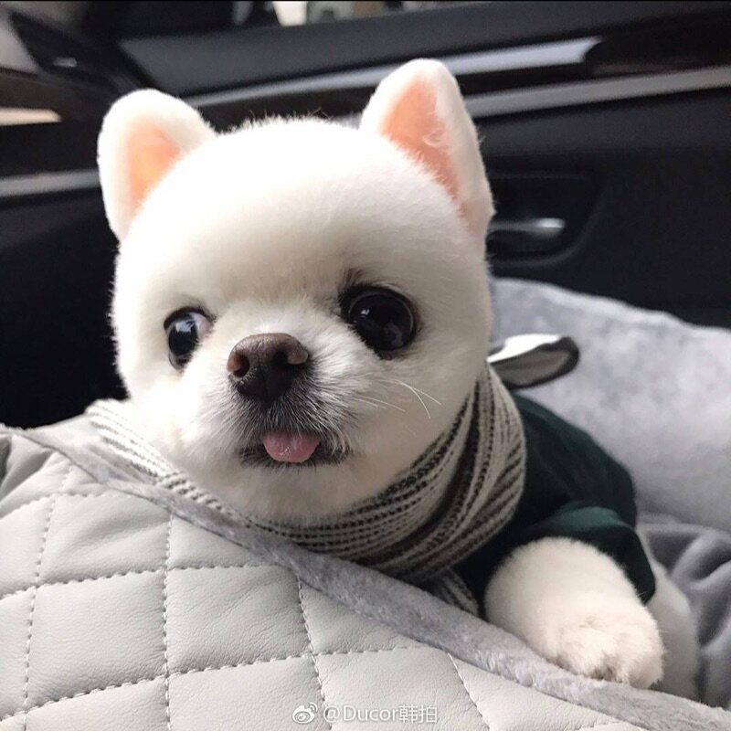 波波袜店