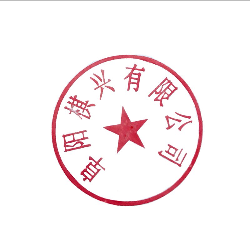 棋兴棋具专店的LOGO