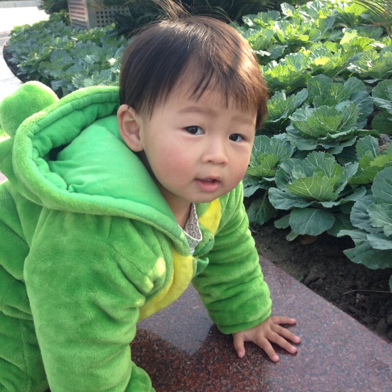 夫王生物科技的LOGO
