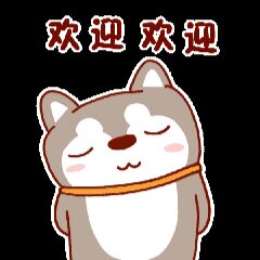 YJ依家衣架
