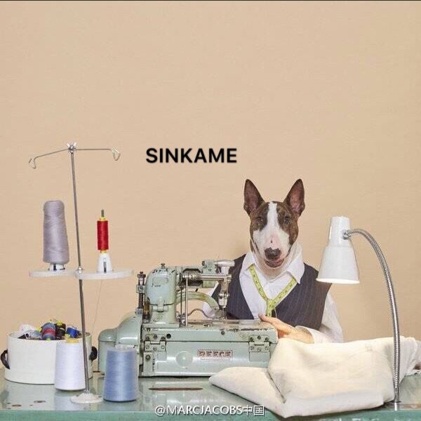 SINKAME原创宠物服饰二店