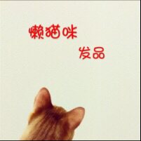 懒猫咪发品
