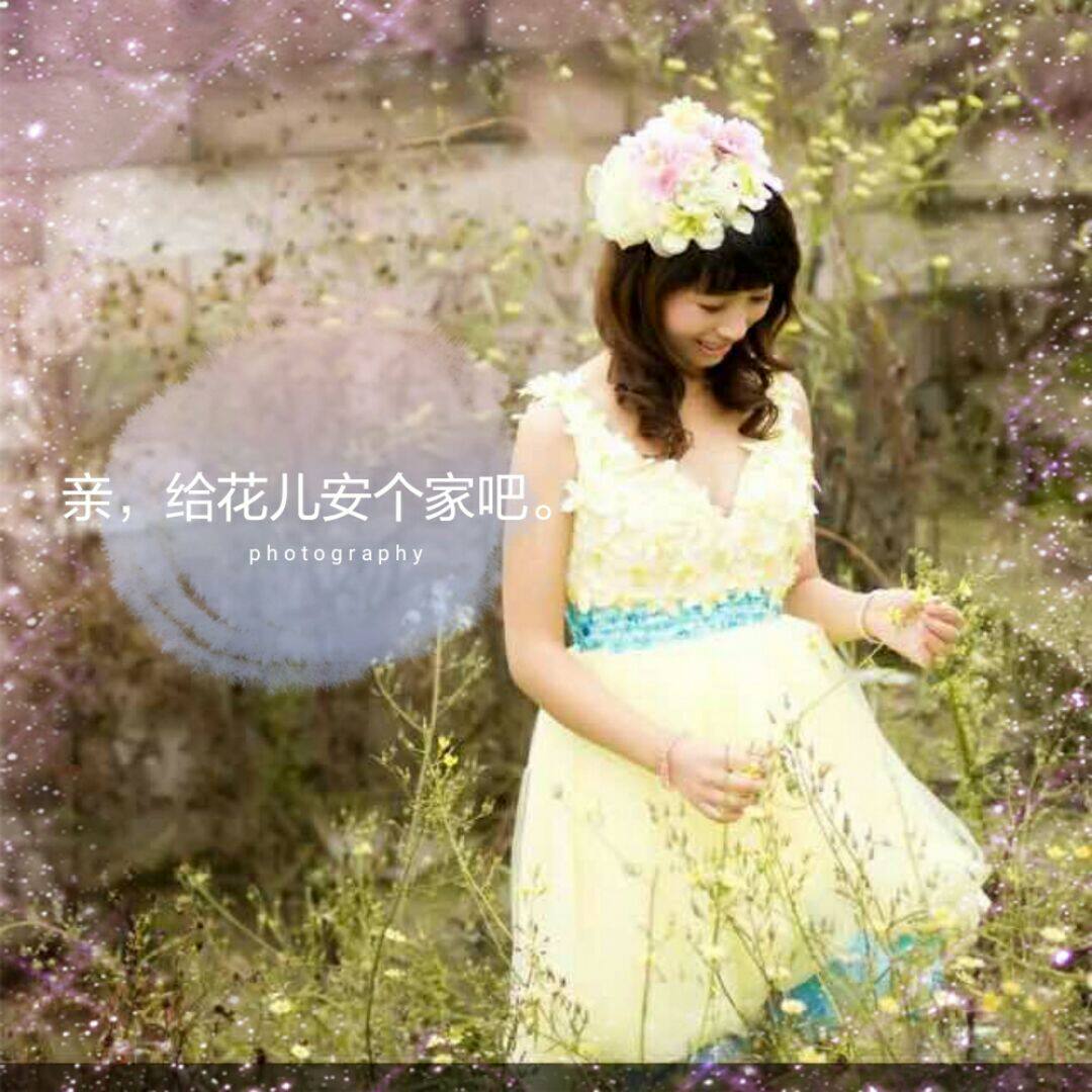 给花儿找个家