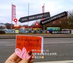 歪歪留学生全球GO