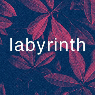 Labyrinth studio