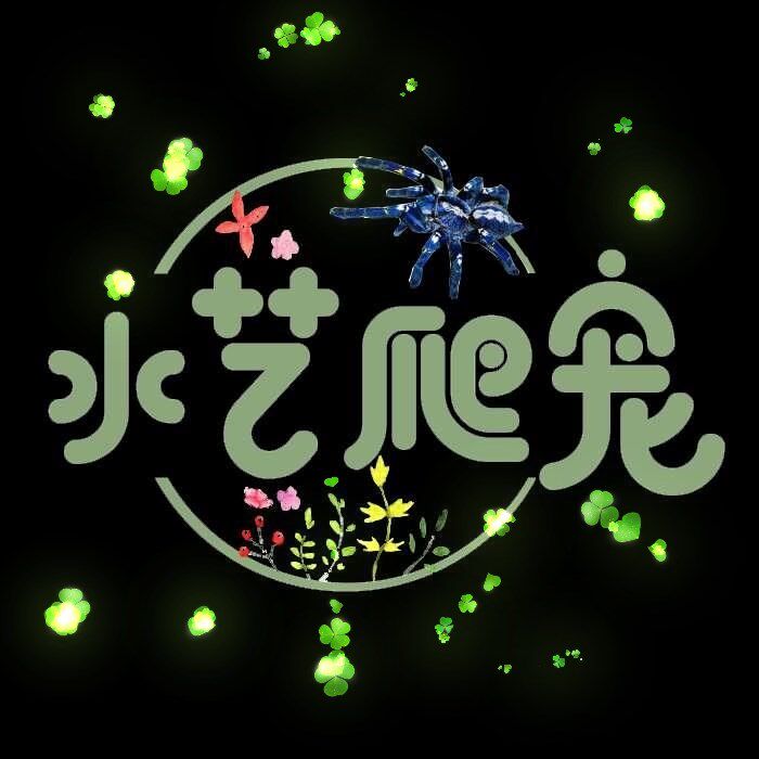 水艺爬宠的LOGO