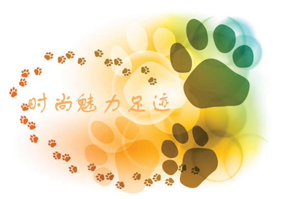 时尚魅力足迹