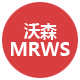 MRWS沃森