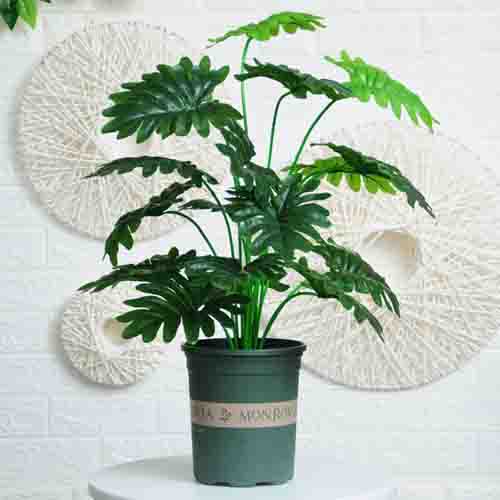 绿尚仿真植物