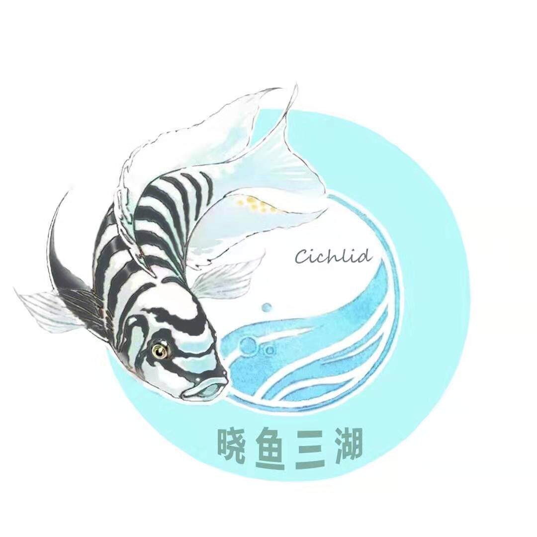晓鱼水族的LOGO