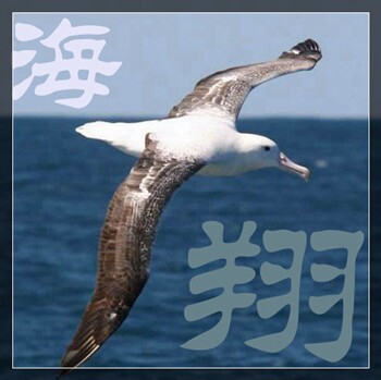 丹阳市海翔酒店用品