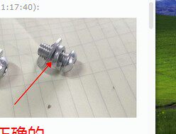 妞妞小妹1130的LOGO