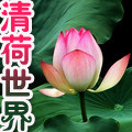 清荷世界的LOGO