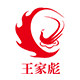 王家彪乐器旗舰店的LOGO