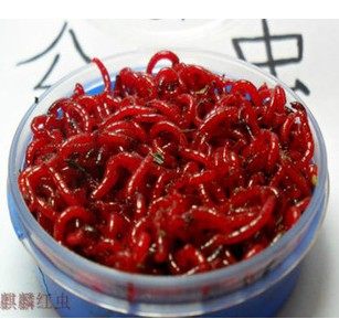 天津麒麟鲜活红虫批发的LOGO