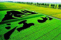 江山原汁原味的LOGO