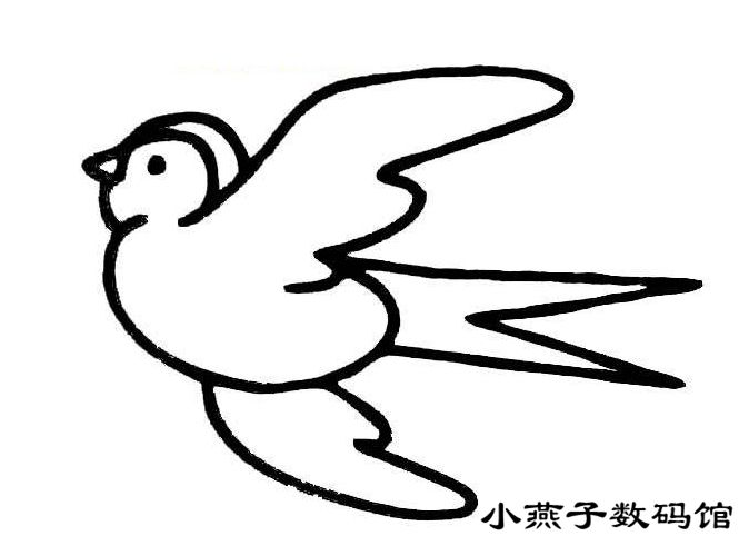 SET布线