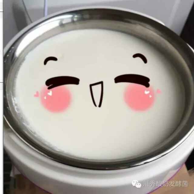 酸奶菌粉品牌店