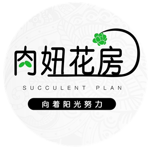 肉妞花房
