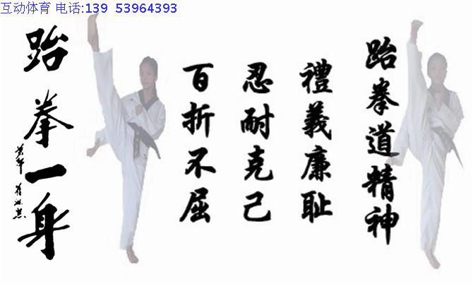 天汇跆拳道的LOGO