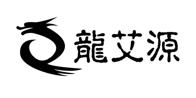 龙艾源的LOGO