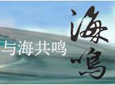 海鸣之声