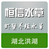 恒信水草