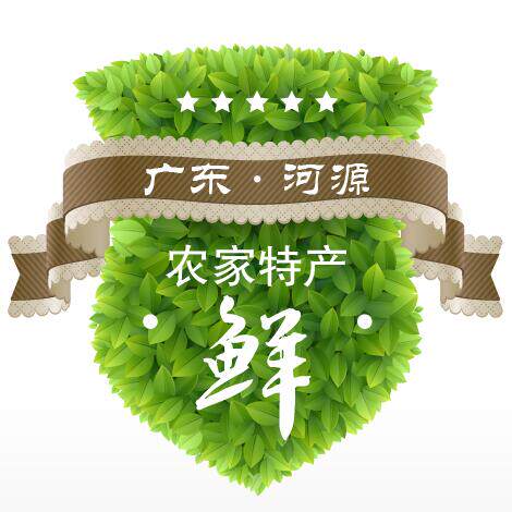 黄小二农家干货店