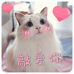 少女心杂物店