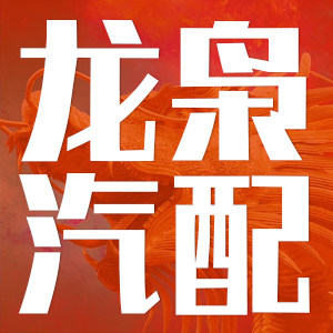 龙枭汽车配件店的LOGO