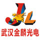 武汉金麟光电