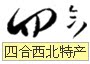 四合西北特产