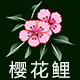 樱花鲤户外旗舰店