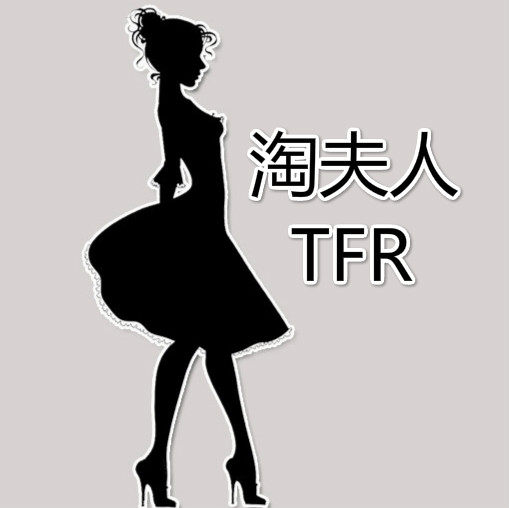 淘夫人箱包的LOGO