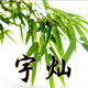 宇灿竹木家居的LOGO