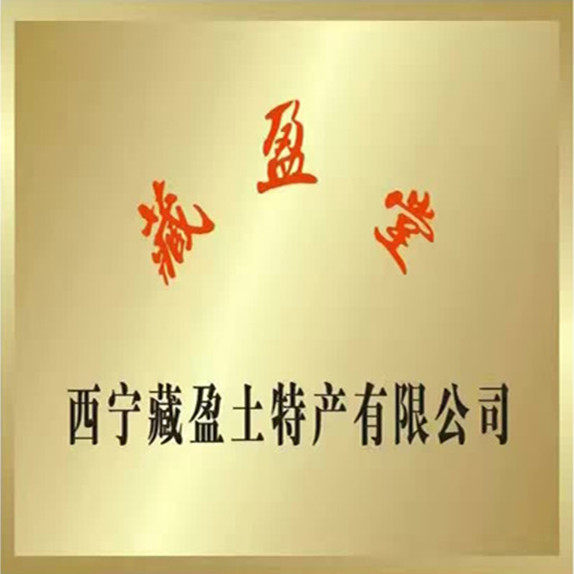 西宁藏盈堂企业店的LOGO