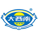 大西南旗舰店的LOGO