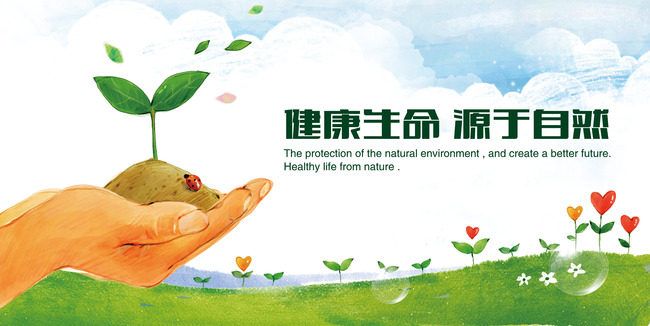 西北龙头植提小铺