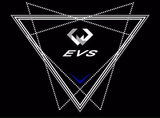 EVS运动服品牌店的LOGO