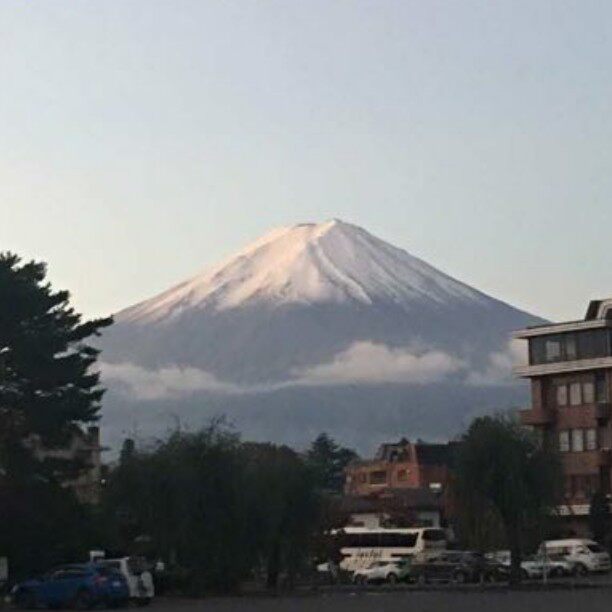 樱花猫代购小铺
