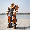 风悦文化演绎