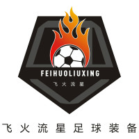 飞火流星足球装备的LOGO